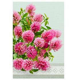 Atvirukas su voku 26492