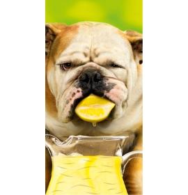 Double card, print inside 22759