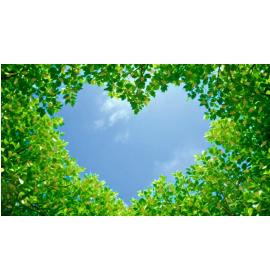 Atvirukas dekoratyvinis pinigams 27361-0