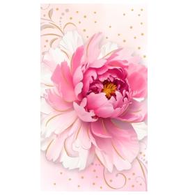 Atvirukas dekoratyvinis pinigams 27363-0