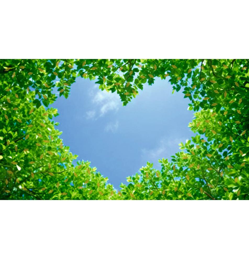 Atvirukas dekoratyvinis pinigams