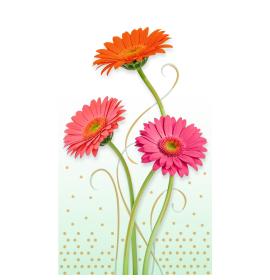 Money envelope card 27347-0
