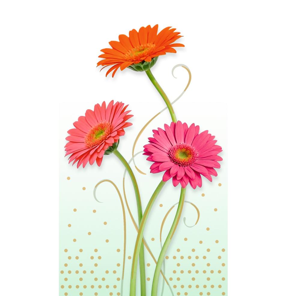 Money envelope card