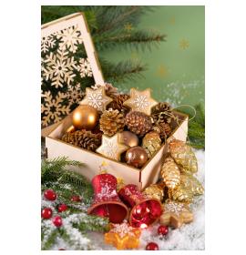 Atvirukas su voku 23441