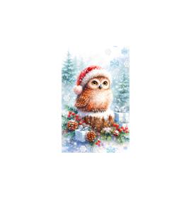 Gift card, small, double (figural) 27696