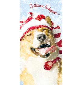 Atvirukas su voku 17900