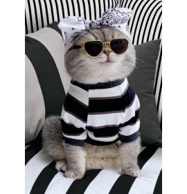 Double card, print inside 25184 t