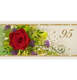 Double card, print inside 95-23135 t