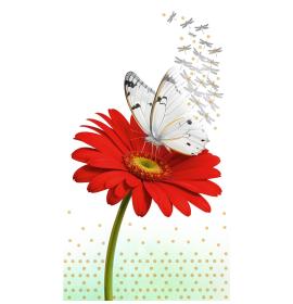 Atvirukas dekoratyvinis pinigams 26477-0