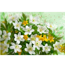 Atvirukas su voku 26057