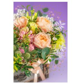 Atvirukas su voku 26064