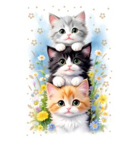 Standard double card, print inside 26103