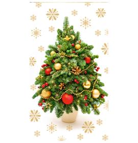 Atvirukas dekoratyvinis pinigams 25713