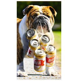 Atvirukas dekoratyvinis pinigams 20236