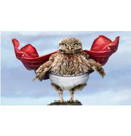 Atvirukas dekoratyvinis pinigams 21133