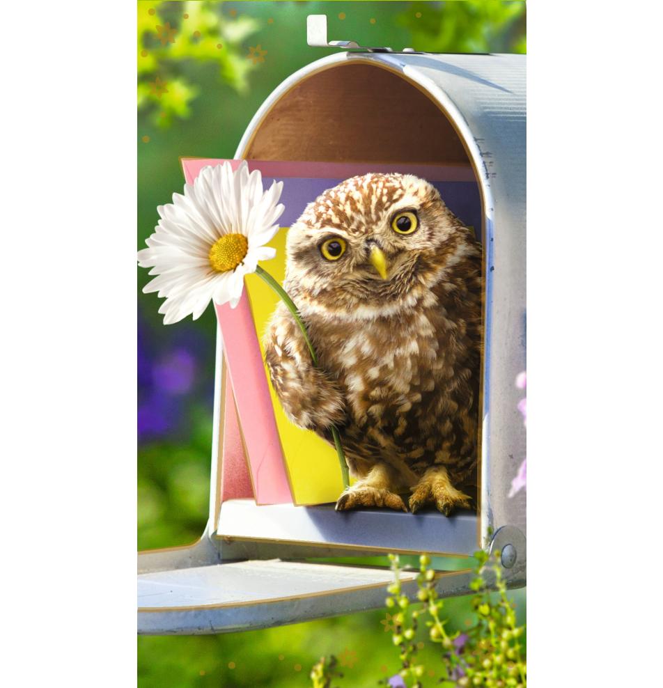 Atvirukas dekoratyvinis pinigams