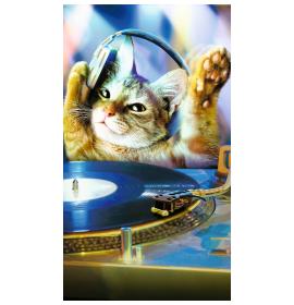 Money envelope card 16755