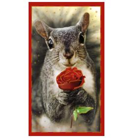 Money envelope card 21131