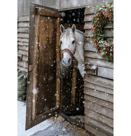 Atvirukas su voku 26596