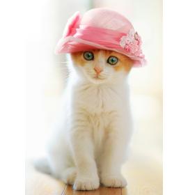 Atvirukas su voku 26894