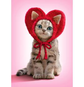 Double card, print inside 26908