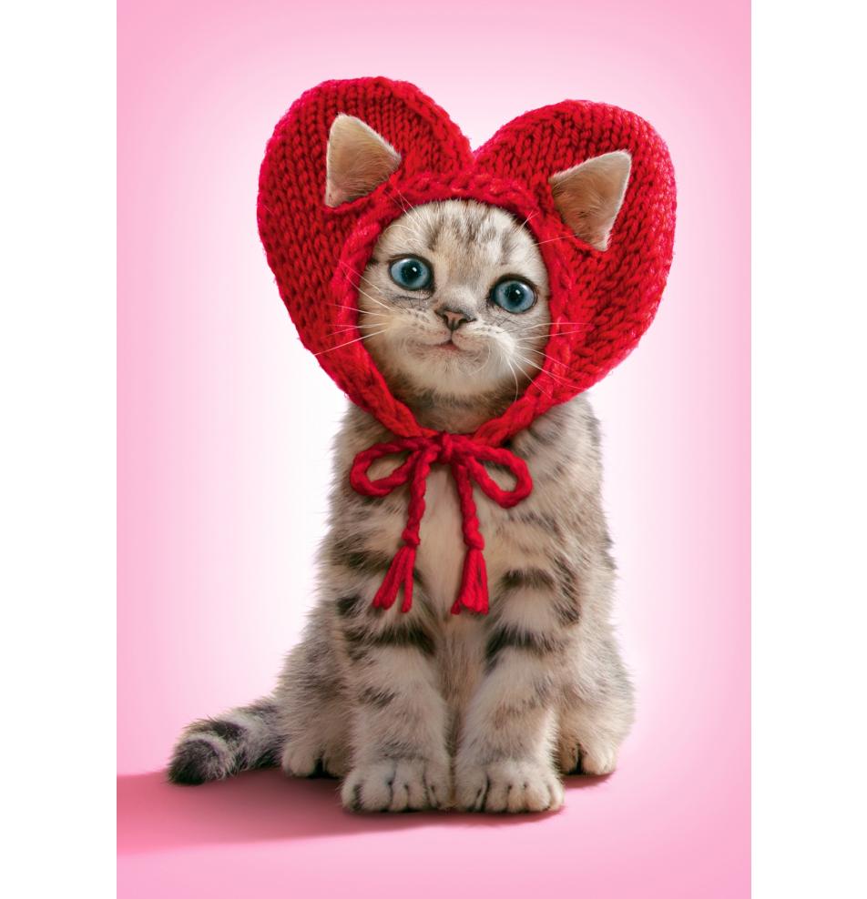 Double card, print inside