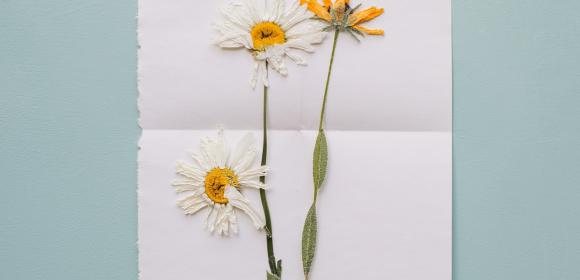 Kaip gaminami atvirukai?