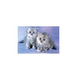 Mini atvirukas 17191