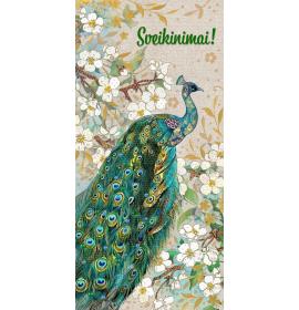 Money envelope card 27607