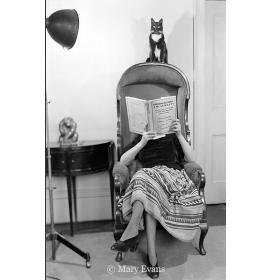 Atvirukas su voku BW1205
