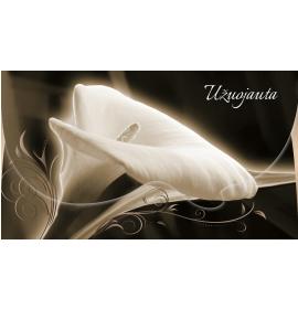 Atvirukas dekoratyvinis pinigams 16257-0