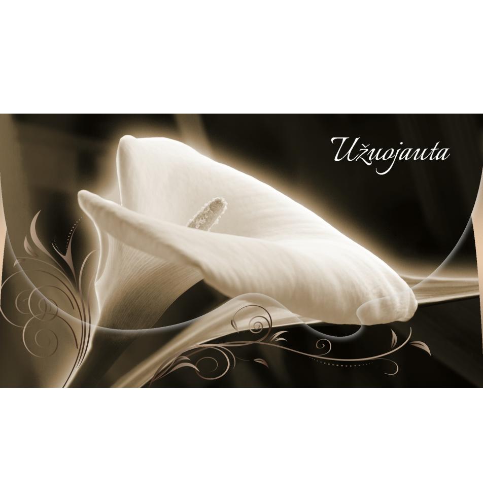 Atvirukas dekoratyvinis pinigams