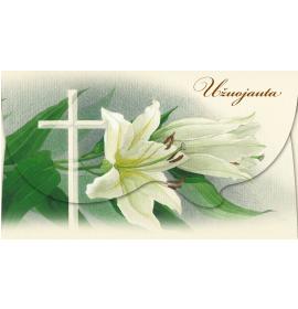 Money envelope card 13251-0