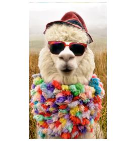 Atvirukas dekoratyvinis pinigams 26351