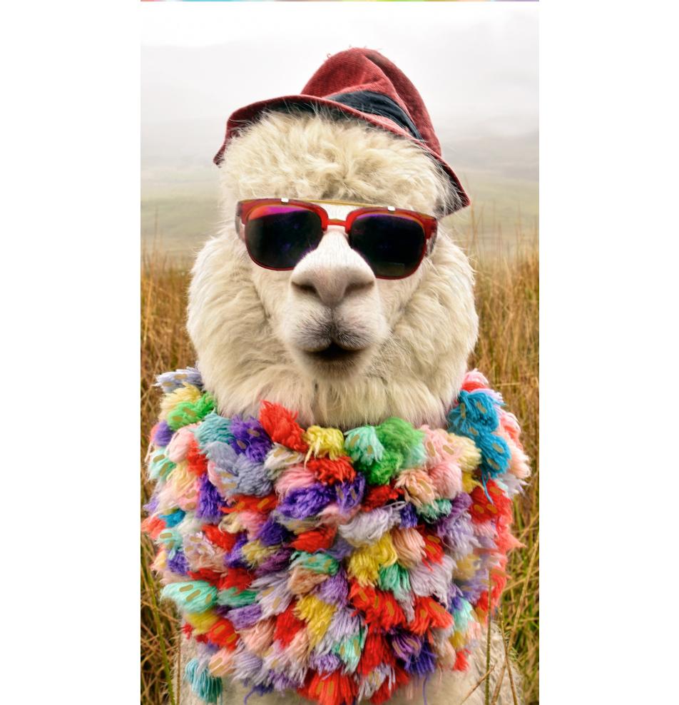 Atvirukas dekoratyvinis pinigams