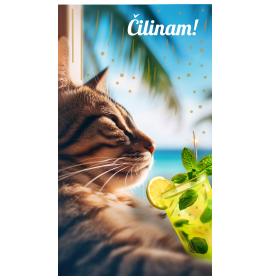 Money envelope card 26384