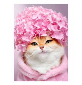 Double card, print inside 26730