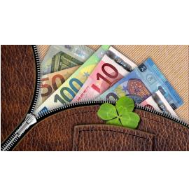 Atvirukas dekoratyvinis pinigams 21680-0