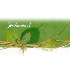 Atvirukas dekoratyvinis pinigams 27243-0