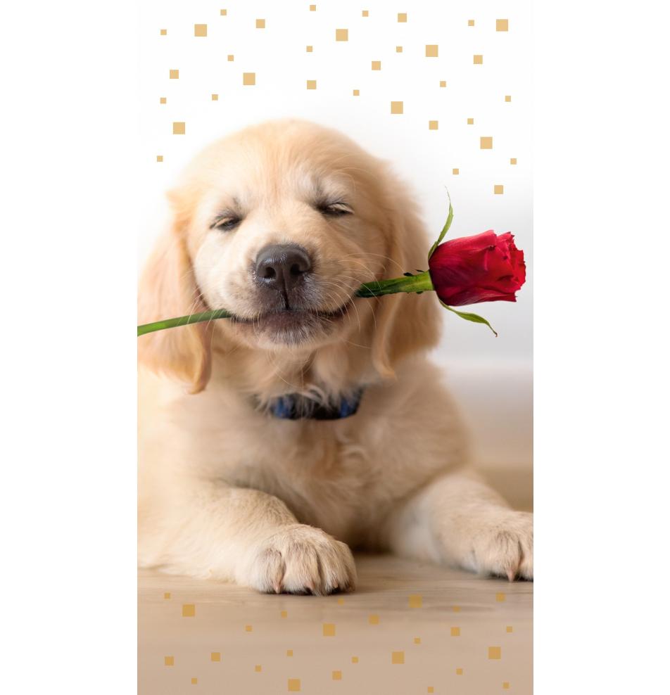 Atvirukas dekoratyvinis pinigams