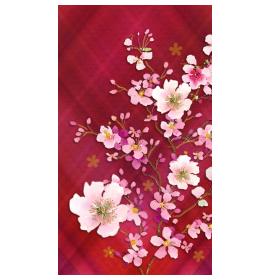 Money envelope card 22063-0