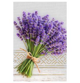 Atvirukas su voku 26859