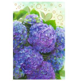 Standard double card, print inside 26858