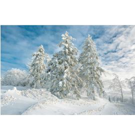 Atvirukas pailgas su voku 24526