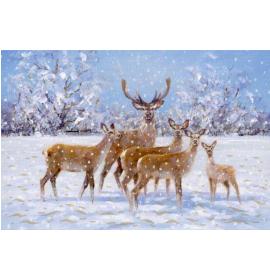 Atvirukas pailgas su voku 24557