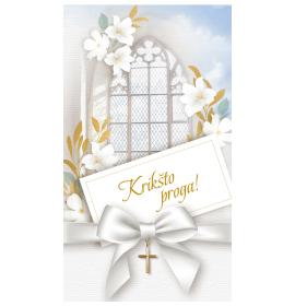 Money envelope card 24821