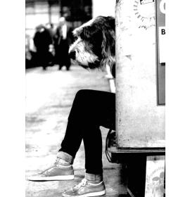 Atvirukas su voku BW0080