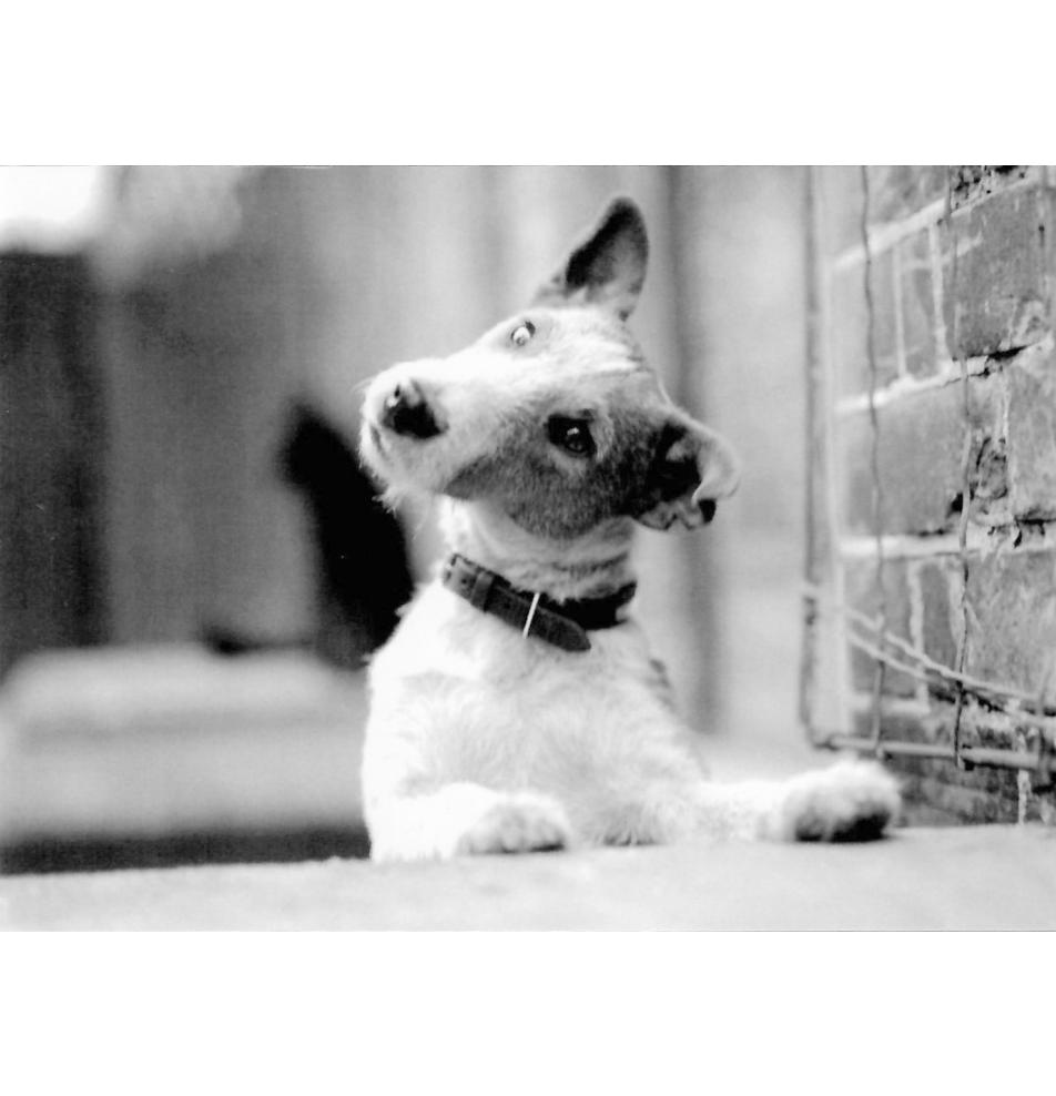 Black&white, double card